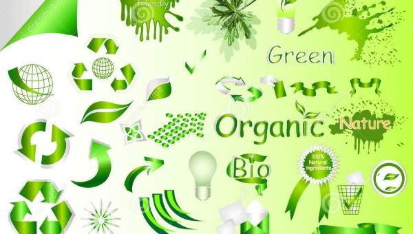 Cum se elaborează un web design organic in Chisinau, Moldova